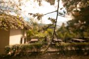 Top Hengshan