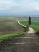 Gli Archi di Corsanello Gli Archi di Corsanello