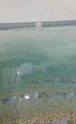 Top Old Orchard Beach