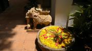 Top Alleppey