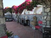 Top Forio di Ischia