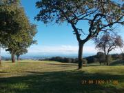 Apartment Sternentor