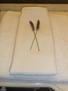 Top Chacras de Coria Top Chacras de Coria