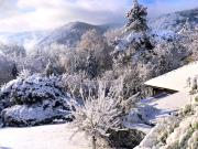 Vintage Chalet in Sougn Remouchamps near Forest