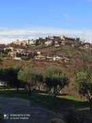 Top Acquaviva Picena