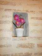 Total Valencia Charming