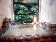 Shima Onsen Ichigekan