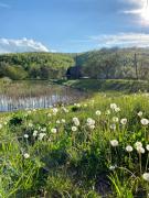 Top Turya Pasika Top Turya Pasika