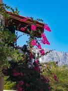 Manora Sucuraj one bedroom apartment Manora Sucuraj one bedroom apartment