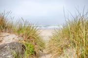 Top Pacific City