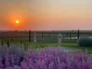 Top Montalto di Castro