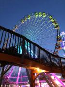 Top Wildwood Crest