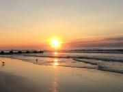 Top Wildwood Crest