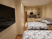 London Luxury Apartments 4 min walk from Ilford Station, with FREE PARKING FREE WIFI