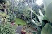 Top Ubud