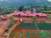 Top Mahabaleshwar