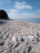 Top Agios Ioannis Pelio