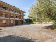 Top Tuoro sul Trasimeno Top Tuoro sul Trasimeno