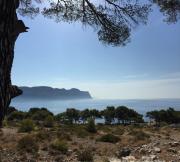 Top Cassis