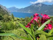 Top Tremosine Sul Garda