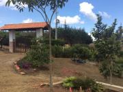 Top Los Santos Top Los Santos