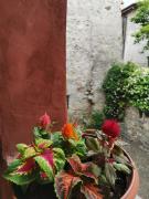 Top Mandello del Lario