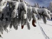 Top Tambre dʼAlpago