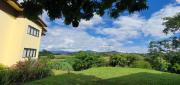 Top Chiang Khong