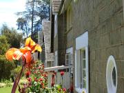 Thomsons Falls Lodge