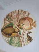 Top Noordwijk Top Noordwijk