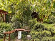 Top General-Kantardzhievo