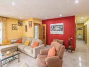 Top Maçanet de la Selva