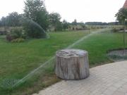 Top Krzczeń Top Krzczeń