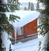 Vila IZVORUL MINUNILOR