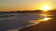 Top Port Alfred