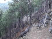 Top Solan