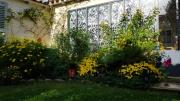 Top La Couarde-sur-Mer