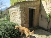 Top Tocco da Casauria