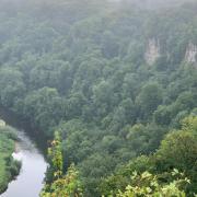Stunning Symonds Yat Holiday Cottage Stunning Symonds Yat Holiday Cottage