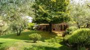 Top Lucca