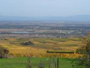 Top Husseren-les-Châteaux
