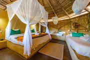Top Timbavati Game Reserve
