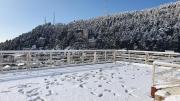 Top Dharamshala