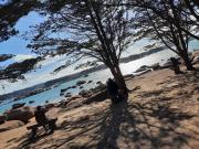 Top Perros-Guirec Top Perros-Guirec