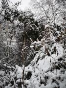 Top Naousa Imathias Top Naousa Imathias