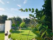 Top Vieste Top Vieste