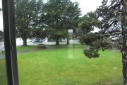Top Crescent City