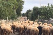 Top Ceglie Messapica