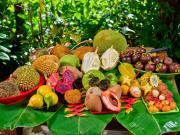 Top Cape Tribulation