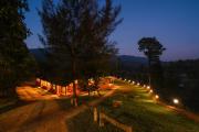 Top Wayanad